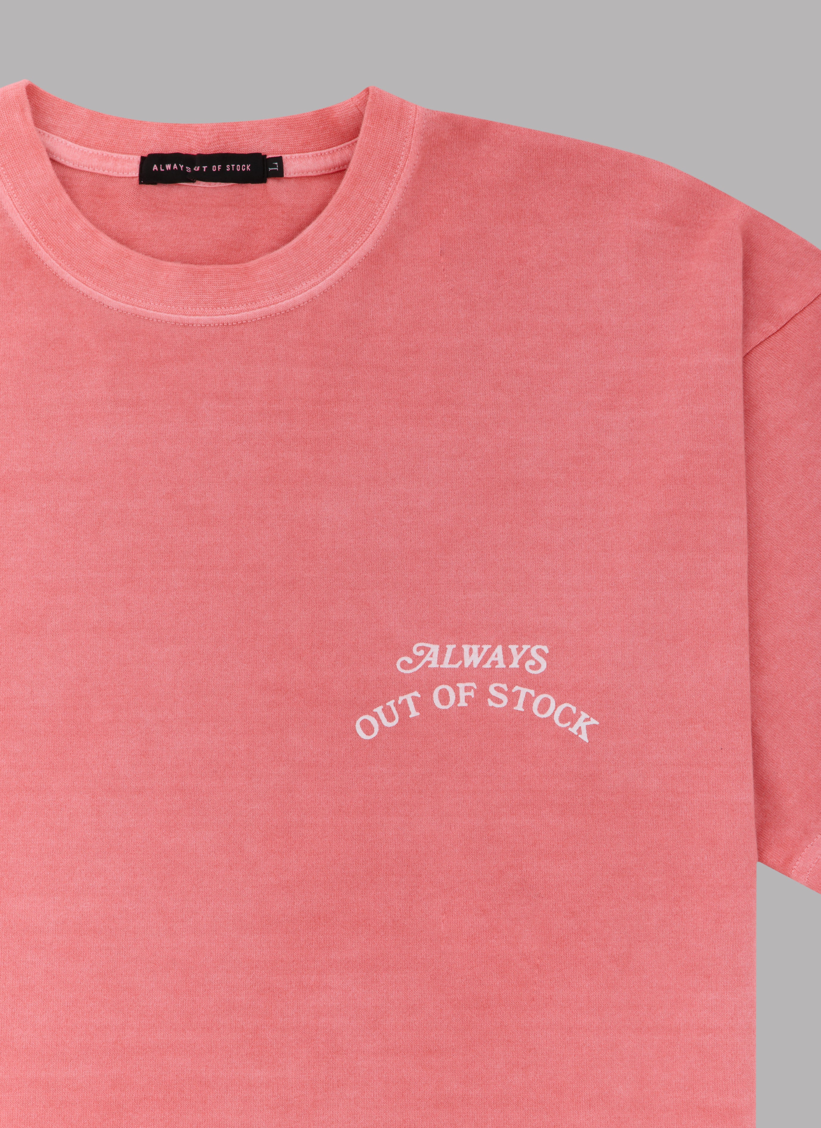 BASIC LOGO PIGMENT DYED S/S TEE-DUSTY RED