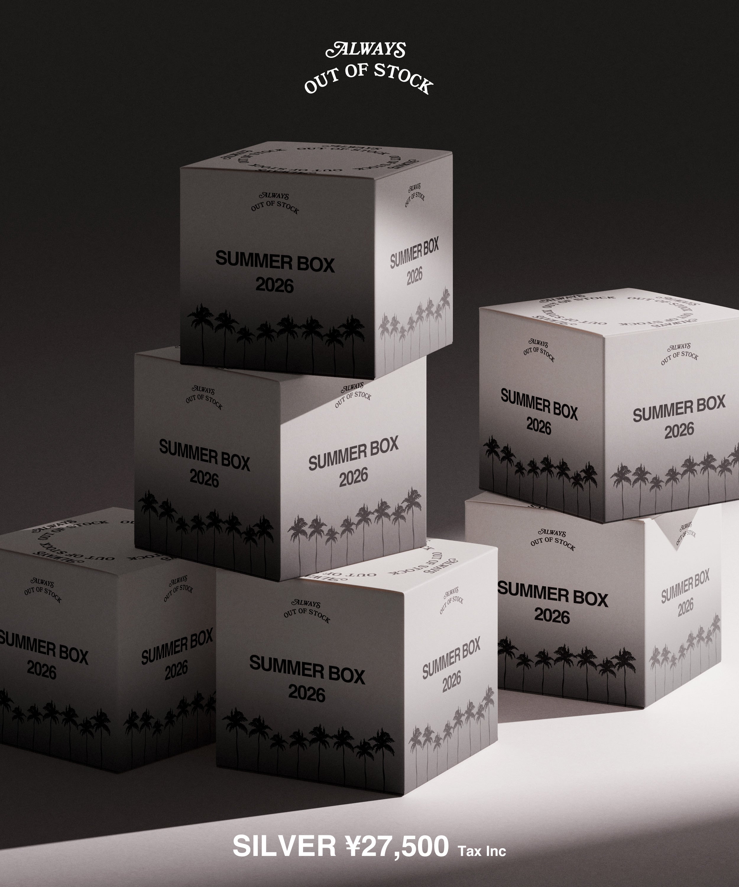 SUMMER BOX-SILVER 27,500yen