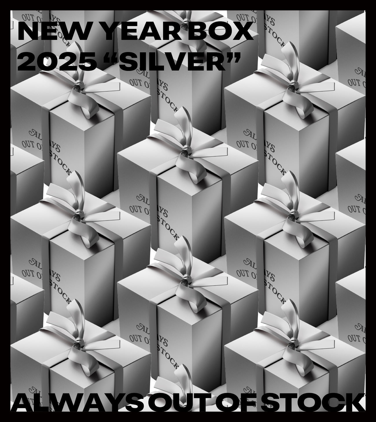 HAPPY BOX TYPE-SILVER 38,500yen
